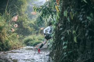 BIB: 
                            <button type="button" onclick="openModal(13717011)" class="btn btn-primary btn-sm float-right btn-popup" data-toggle="modal" data-target=".modal-high-quality">
                        <i class="fas fa-shopping-cart"></i> Add to Cart
                    </button>
                                            <button type="button" onclick="isThisMe(13717011, true)" class="btn btn-success btn-sm float-right btn-popup btn-isme hidden" data-toggle="tooltip" data-placement="bottom" title="นี่คือรูปของคุณใช่ไหม คลิกที่นี่เพื่อเอาเข้าอัลบั้ม">
                        <i class="fas fa-plus"></i> Add to album
                    </button>
                    <button type="button" onclick="isThisMe(13717011, false)" class="btn btn-warning btn-sm float-right btn-popup btn-isnotme hidden">
                        <i class="fas fa-ban"></i> Remove from album
                    </button>